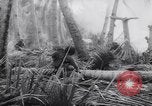 Standbild Japanses Basen Makin Insel Kiribati Inseln, 1944, aus Sekunde 43 historischem Filmmaterial Videoclip 65675040788