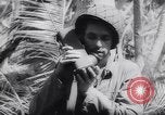 Standbild Japanses Basen Makin Insel Kiribati Inseln, 1944, aus Sekunde 55 historischem Filmmaterial Videoclip 65675040788