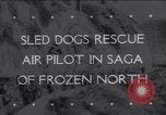 Standbild Dog Sled Team Pilot rettet United States USA, 1944, aus Sekunde 1 historischem Filmmaterial Videoclip 65675040790