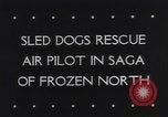 Standbild Dog Sled Team Pilot rettet United States USA, 1944, aus Sekunde 5 historischem Filmmaterial Videoclip 65675040790