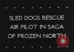 Standbild Dog Sled Team Pilot rettet United States USA, 1944, aus Sekunde 6 historischem Filmmaterial Videoclip 65675040790