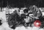 Standbild Dog Sled Team Pilot rettet United States USA, 1944, aus Sekunde 14 historischem Filmmaterial Videoclip 65675040790