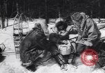 Standbild Dog Sled Team Pilot rettet United States USA, 1944, aus Sekunde 15 historischem Filmmaterial Videoclip 65675040790