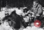 Standbild Dog Sled Team Pilot rettet United States USA, 1944, aus Sekunde 17 historischem Filmmaterial Videoclip 65675040790