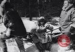 Standbild Dog Sled Team Pilot rettet United States USA, 1944, aus Sekunde 18 historischem Filmmaterial Videoclip 65675040790