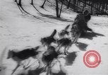 Standbild Dog Sled Team Pilot rettet United States USA, 1944, aus Sekunde 22 historischem Filmmaterial Videoclip 65675040790