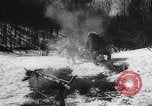 Standbild Dog Sled Team Pilot rettet United States USA, 1944, aus Sekunde 24 historischem Filmmaterial Videoclip 65675040790