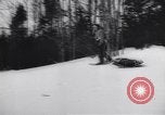 Standbild Dog Sled Team Pilot rettet United States USA, 1944, aus Sekunde 27 historischem Filmmaterial Videoclip 65675040790
