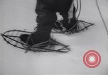Standbild Dog Sled Team Pilot rettet United States USA, 1944, aus Sekunde 28 historischem Filmmaterial Videoclip 65675040790