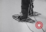Standbild Dog Sled Team Pilot rettet United States USA, 1944, aus Sekunde 30 historischem Filmmaterial Videoclip 65675040790