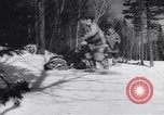 Standbild Dog Sled Team Pilot rettet United States USA, 1944, aus Sekunde 31 historischem Filmmaterial Videoclip 65675040790