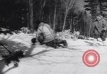 Standbild Dog Sled Team Pilot rettet United States USA, 1944, aus Sekunde 33 historischem Filmmaterial Videoclip 65675040790