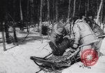 Standbild Dog Sled Team Pilot rettet United States USA, 1944, aus Sekunde 44 historischem Filmmaterial Videoclip 65675040790