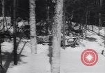Standbild Dog Sled Team Pilot rettet United States USA, 1944, aus Sekunde 46 historischem Filmmaterial Videoclip 65675040790