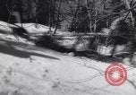 Standbild Dog Sled Team Pilot rettet United States USA, 1944, aus Sekunde 48 historischem Filmmaterial Videoclip 65675040790