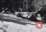 Standbild Dog Sled Team Pilot rettet United States USA, 1944, aus Sekunde 49 historischem Filmmaterial Videoclip 65675040790