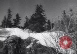 Standbild Dog Sled Team Pilot rettet United States USA, 1944, aus Sekunde 50 historischem Filmmaterial Videoclip 65675040790