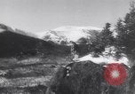 Standbild Dog Sled Team Pilot rettet United States USA, 1944, aus Sekunde 52 historischem Filmmaterial Videoclip 65675040790