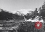 Standbild Dog Sled Team Pilot rettet United States USA, 1944, aus Sekunde 53 historischem Filmmaterial Videoclip 65675040790