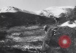 Standbild Dog Sled Team Pilot rettet United States USA, 1944, aus Sekunde 54 historischem Filmmaterial Videoclip 65675040790