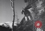 Standbild Dog Sled Team Pilot rettet United States USA, 1944, aus Sekunde 56 historischem Filmmaterial Videoclip 65675040790