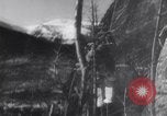 Standbild Dog Sled Team Pilot rettet United States USA, 1944, aus Sekunde 57 historischem Filmmaterial Videoclip 65675040790