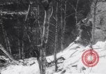 Standbild Dog Sled Team Pilot rettet United States USA, 1944, aus Sekunde 58 historischem Filmmaterial Videoclip 65675040790