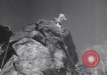 Standbild Dog Sled Team Pilot rettet United States USA, 1944, aus Sekunde 59 historischem Filmmaterial Videoclip 65675040790