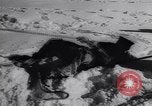 Standbild Winter Sport Nordatlantik, 1944, aus Sekunde 17 historischem Filmmaterial Videoclip 65675040793