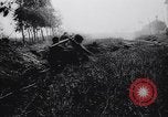 Immagine di Truppe alleate Anzio Italia, 1944, secondo 50 filmato di repertorio 65675040795