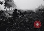 Immagine di Truppe alleate Anzio Italia, 1944, secondo 52 filmato di repertorio 65675040795
