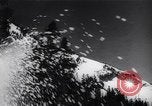 Image of Deep snow on Montana Roads Montana United States USA, 1944, second 43 stock footage video 65675040799