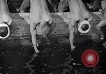 Image of Japanese workers and training of children for war Japan, 1941, second 21 stock footage video 65675040809