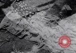 Image of Lieutenant General Jonathan Wainwright Philippines, 1945, second 28 stock footage video 65675040810