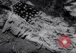 Image of Lieutenant General Jonathan Wainwright Philippines, 1945, second 56 stock footage video 65675040810