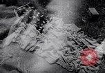 Image of Lieutenant General Jonathan Wainwright Philippines, 1945, second 62 stock footage video 65675040810