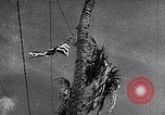 Image of Fervently patriotic Japanese people Pacific Theater, 1945, second 37 stock footage video 65675040811