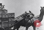 Standbild uns militärische Hilfe für China über Indien in Zweiten Weltkrieg Indien, 1942, aus Sekunde 29 historischem Filmmaterial Videoclip 65675040822