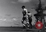 Image of F4U Corsair noses over Pacific Theater, 1943, second 44 stock footage video 65675040834