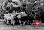 Image of Pacific Islanders in dugout canoes Pacific Theater, 1942, second 51 stock footage video 65675040839