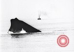 Image of Army bomb tests North Carolina United States USA, 1923, second 60 stock footage video 65675040860