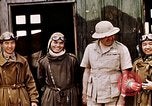 Image of Flying Tigers China, 1942, second 5 stock footage video 65675040866