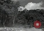 Immagine di Stati Uniti F4U Corsair aeromobile Vella Lavella campo seconda guerra mondiale Nuova Georgia Isole Salomone, 1943, secondo 57 filmato di repertorio 65675040873