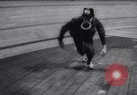 Standbild Polizei Festival Deutschland, 1957, aus Sekunde 31 historischem Filmmaterial Videoclip 65675040880