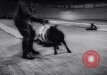 Standbild Polizei Festival Deutschland, 1957, aus Sekunde 44 historischem Filmmaterial Videoclip 65675040880