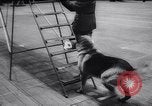 Standbild Polizei Festival Deutschland, 1957, aus Sekunde 48 historischem Filmmaterial Videoclip 65675040880