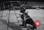 Standbild Polizei Festival Deutschland, 1957, aus Sekunde 49 historischem Filmmaterial Videoclip 65675040880