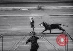 Standbild Polizei Festival Deutschland, 1957, aus Sekunde 53 historischem Filmmaterial Videoclip 65675040880