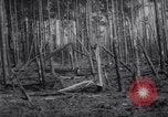 Standbild Atombombe versehentlich fallen gelassen Florence South Carolina USA, 1958, aus Sekunde 35 historischem Filmmaterial Videoclip 65675040882