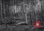 Standbild Atombombe versehentlich fallen gelassen Florence South Carolina USA, 1958, aus Sekunde 36 historischem Filmmaterial Videoclip 65675040882